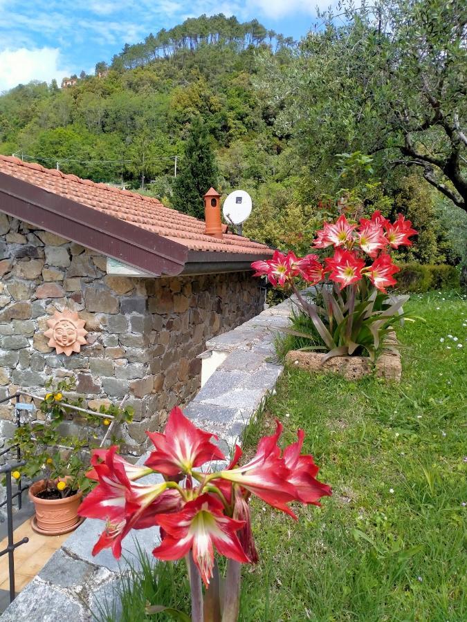 5 Terre - B&B La Giuditta - La Spezia Exterior foto
